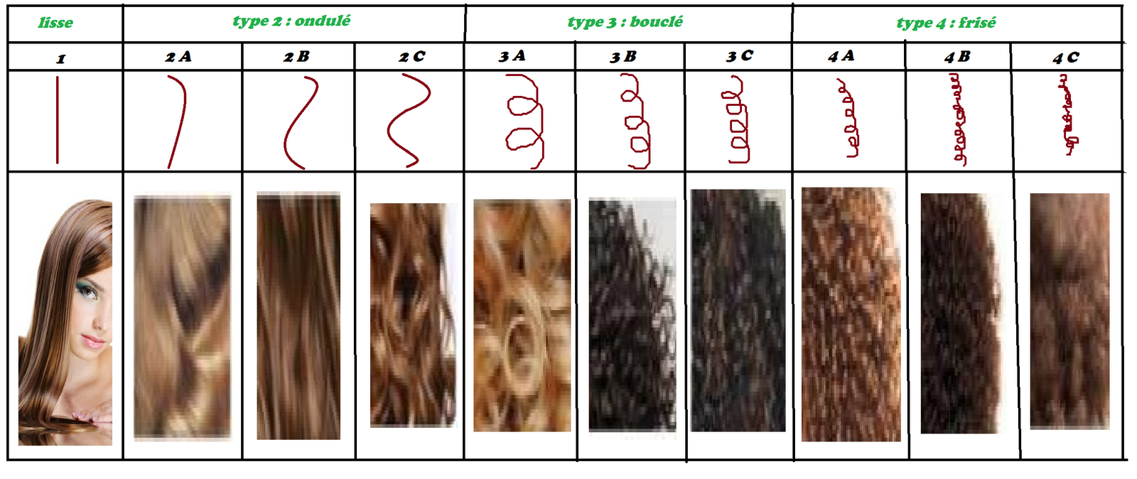 Разновидности волос
