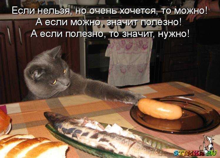 Половозрелость козлов: когда самец становится половозрелым и в каком возрасте может покрыть козу — когда сводить его с самкой — moloko-chr.ru