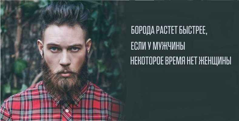 Про бороду картинки