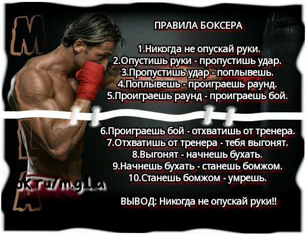 Как совмещать тренировки по боксу и бодибилдинг » max-body