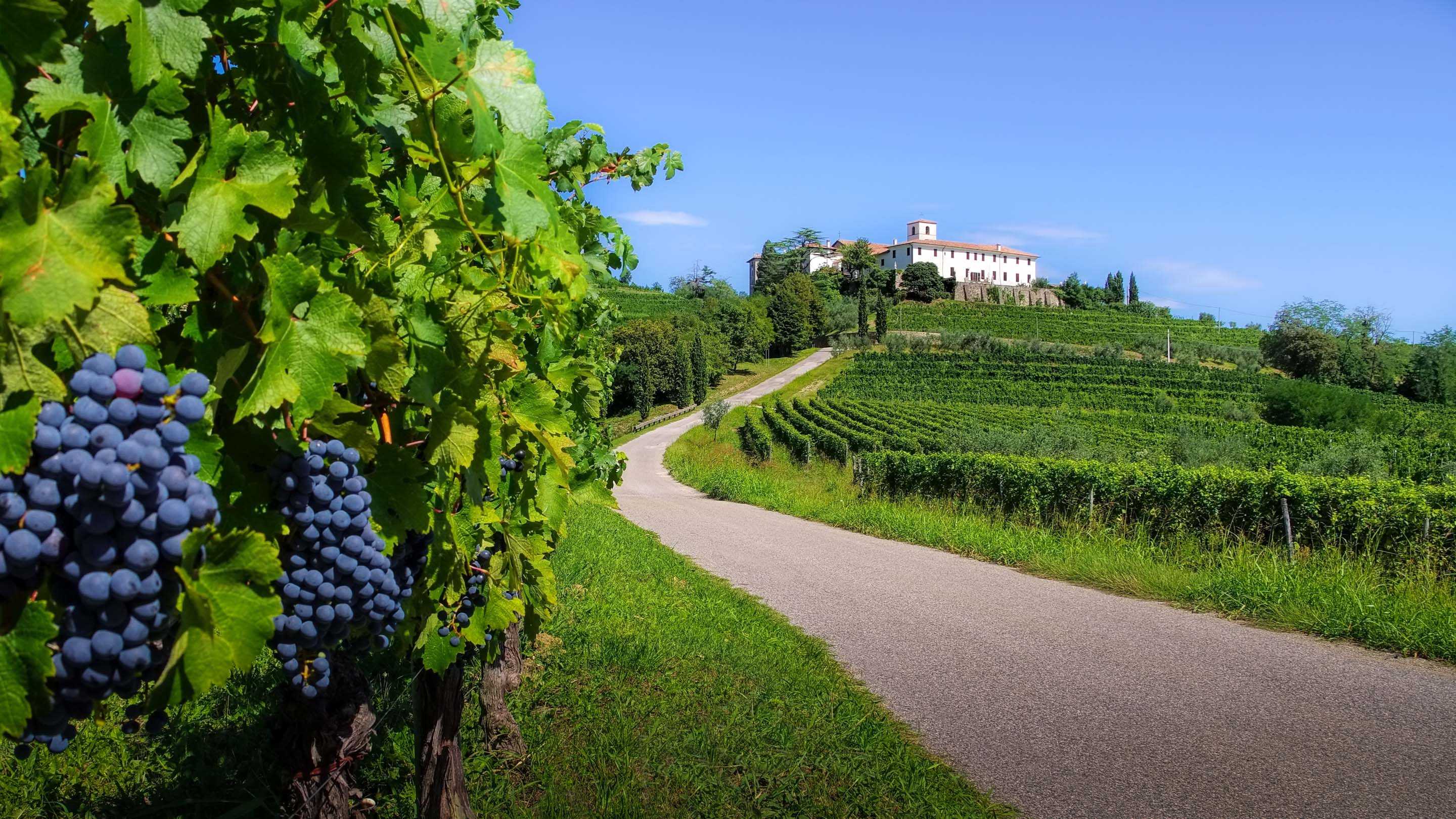 Агротуризм emilia-romagna: 215 лучшие | agriturismi.it