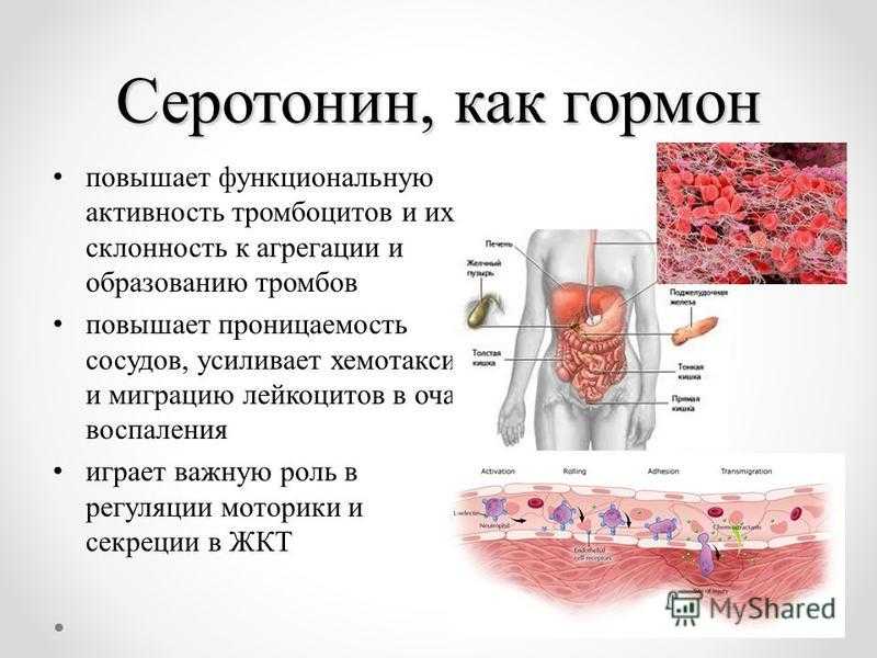 Серотонин это гормон чего простыми словами. Серотонин гормон. Серотонин как гормон. Серотонин гормон вырабатывается. Серотонин функции гормона.