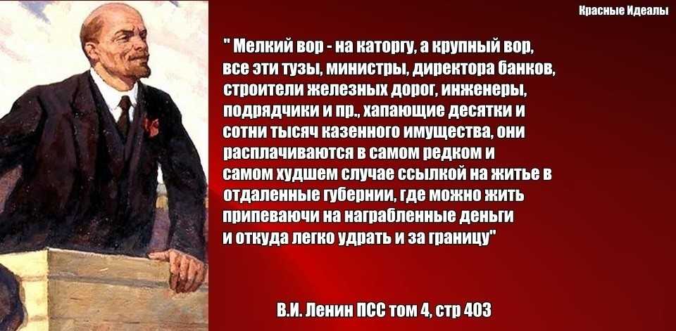 Шелия: «в моём ресторане часто бывает каха каладзе»