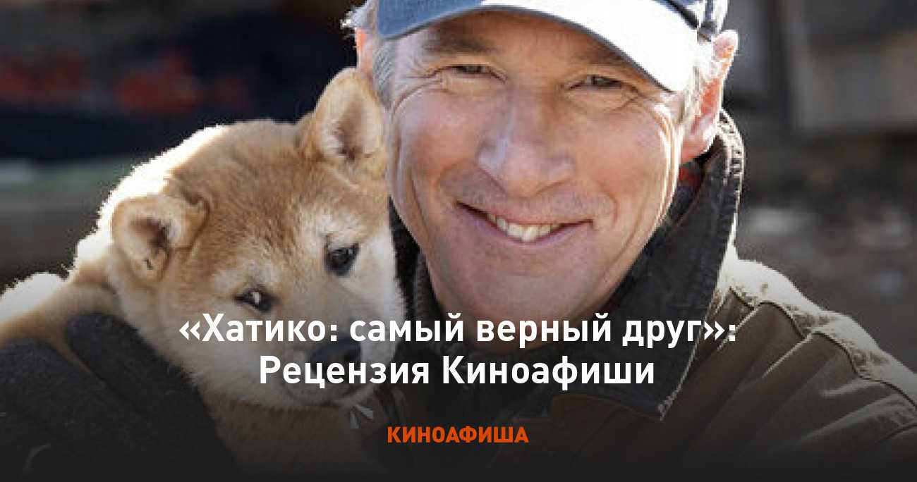 Реальная история хатико, самого верного и преданного пса в мире