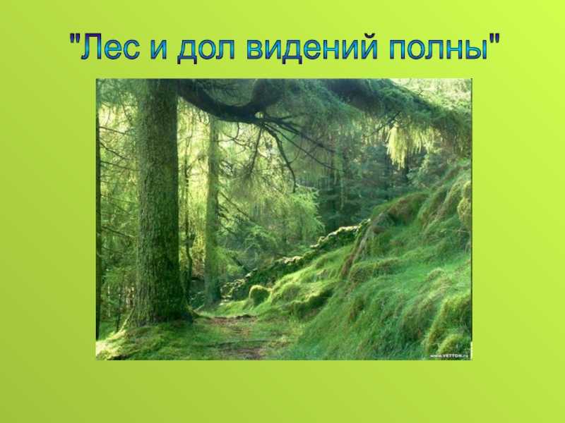 Там лес и дол видений. Лес и ДРЛ веденья полны. Лес и дол видений полны. Иллюстрации там лес и дол видений полны. Видений полны.