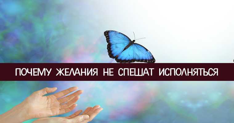 Американский образ жизни: плюсы и минусы