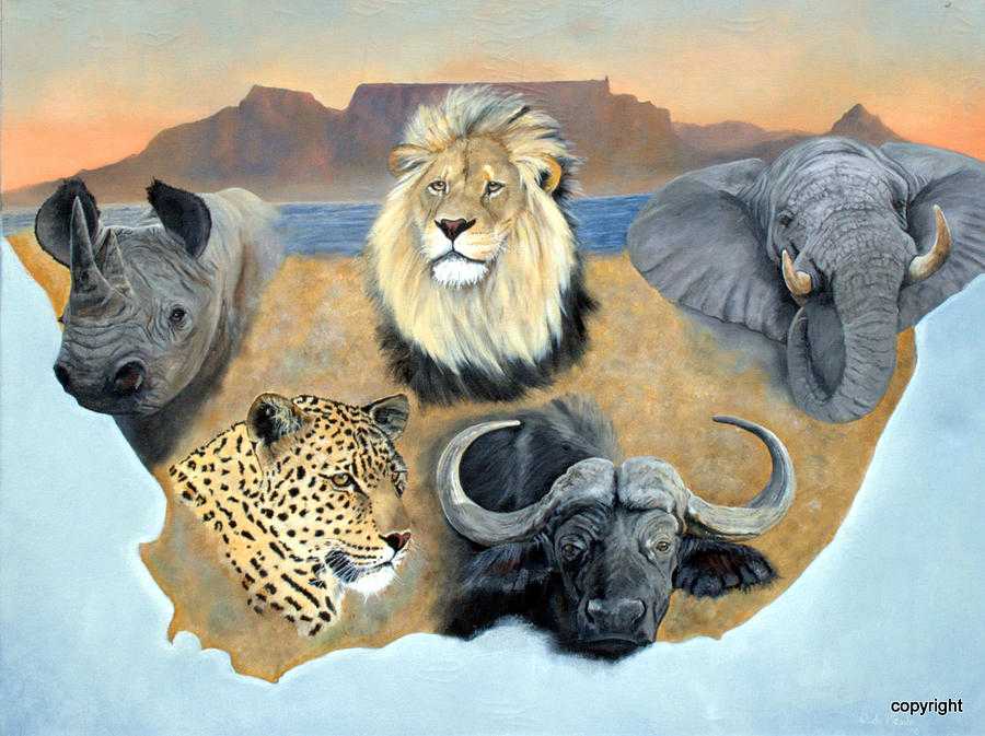 Пятерка африки. Сафари Африканская пятерка. Великая пятерка Африки. Большая пятерка Африки сафари охота. Слон буйвол носорог Лев леопард.