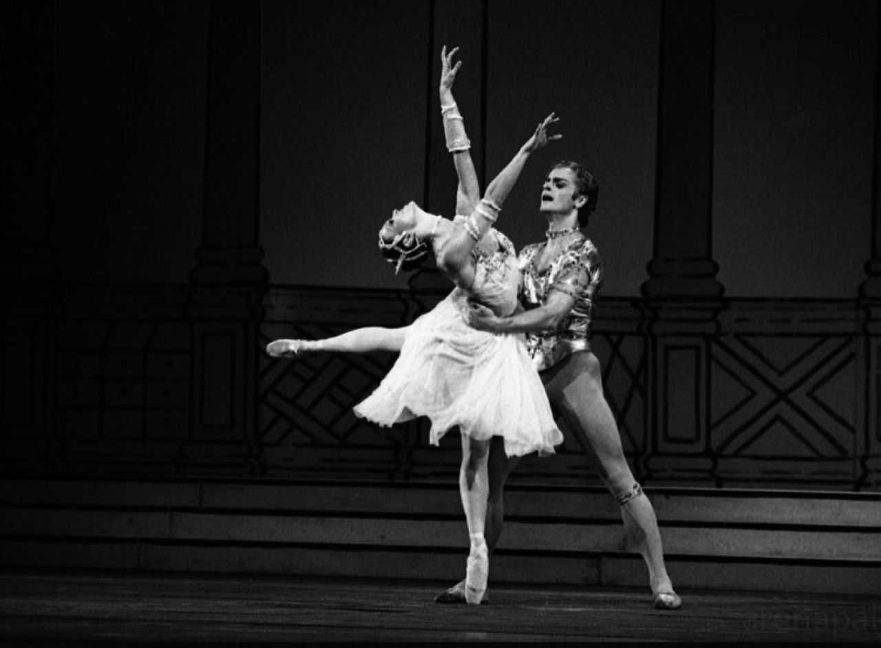 Артист балета михаил барышников: «то, что сейчас происходит, просто бессовестно»