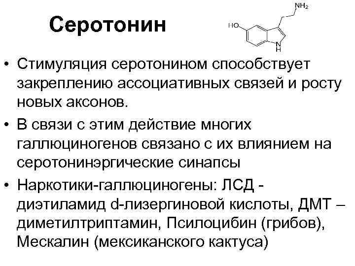 «человек на 90% состоит из пустоты»: физик дмитрий побединский отвечает на 7 жизненных вопросов
 — t&p