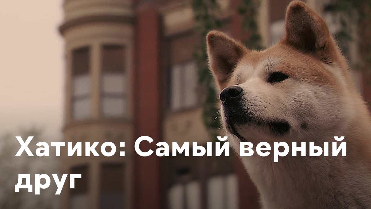 Режим хатико включен картинка